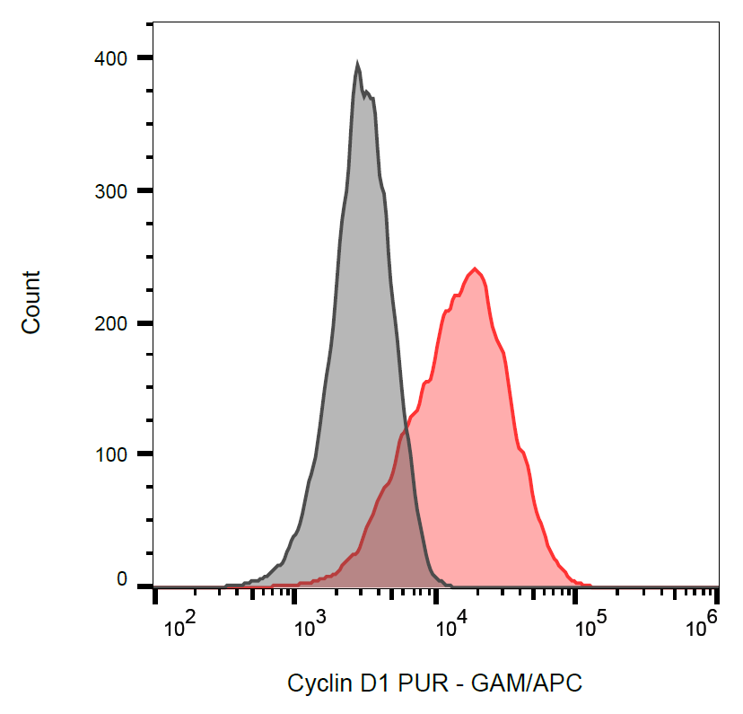 Cyclin D1 Antibody