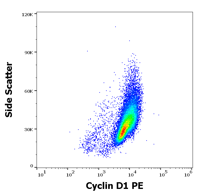 Cyclin D1 antibody (PE)