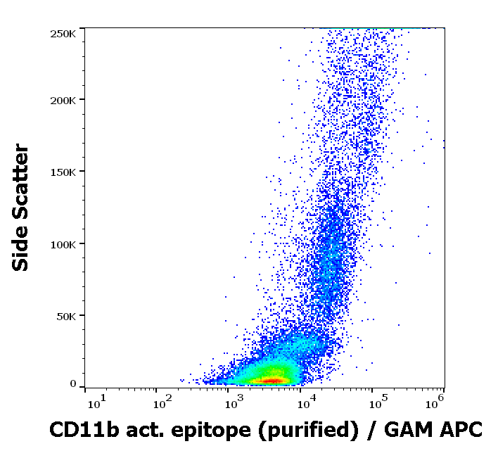 CD11b activation epitope antibody