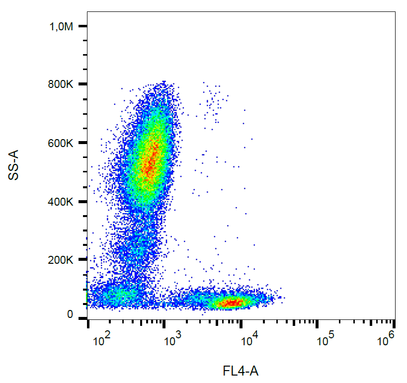 CD5 Antibody (PerCP)