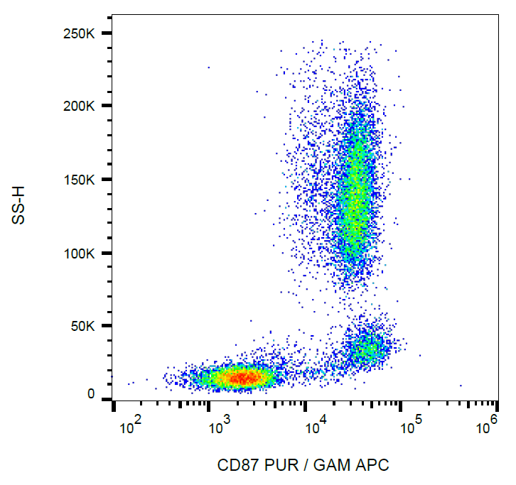 CD87 Antibody