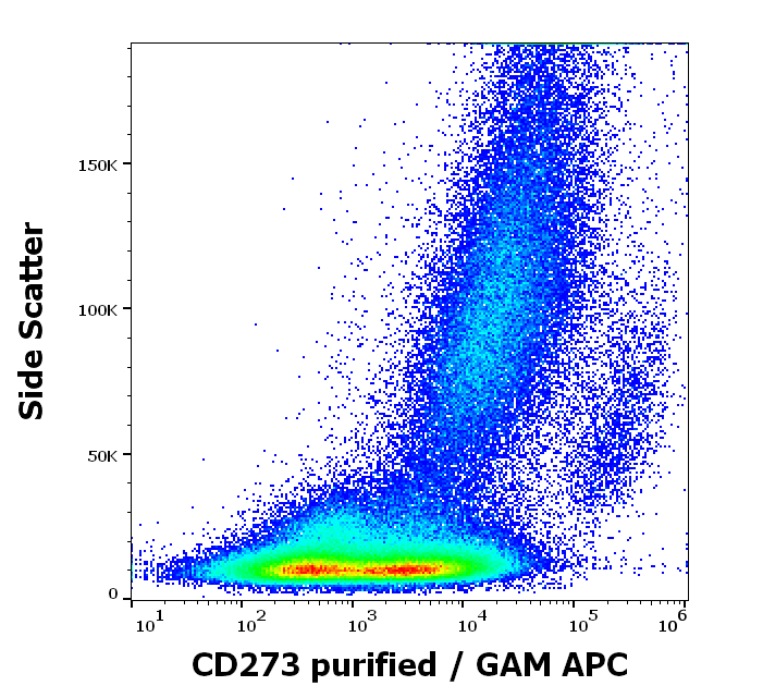 CD273 antibody