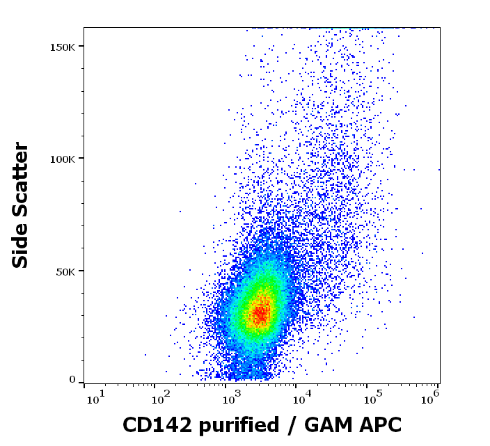 Tissue factor antibody