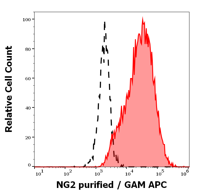 NG2 Antibody