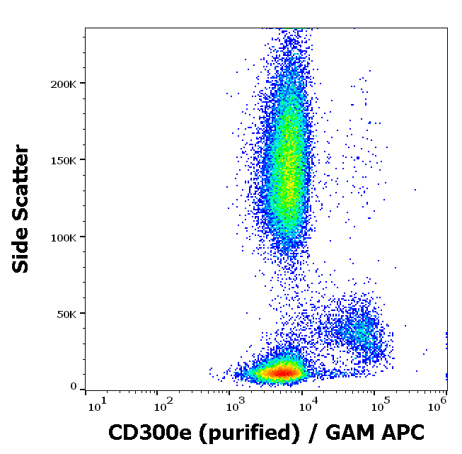 Anti-Hu CD300e Purified Low Endotoxin