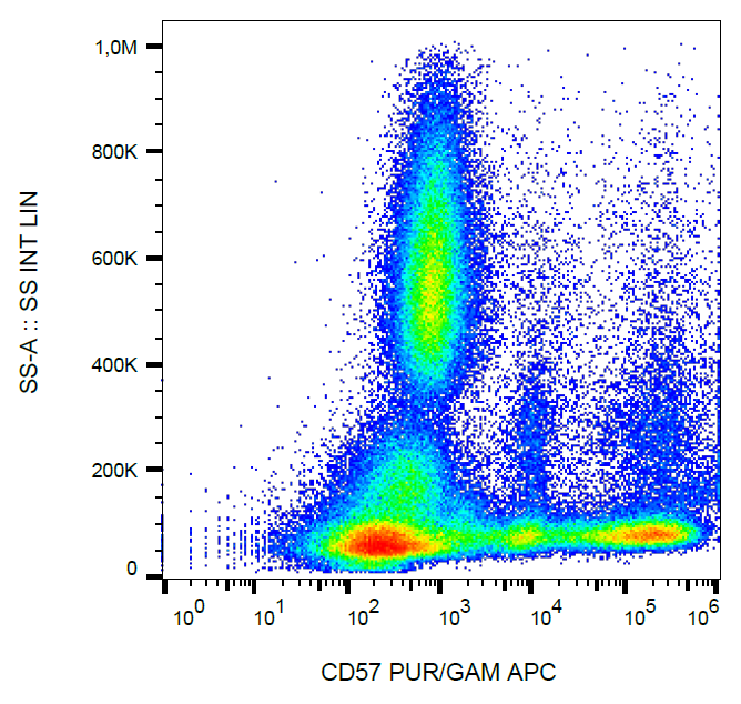 CD57 Antibody