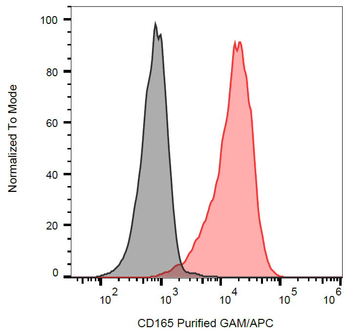 CD165 Antibody