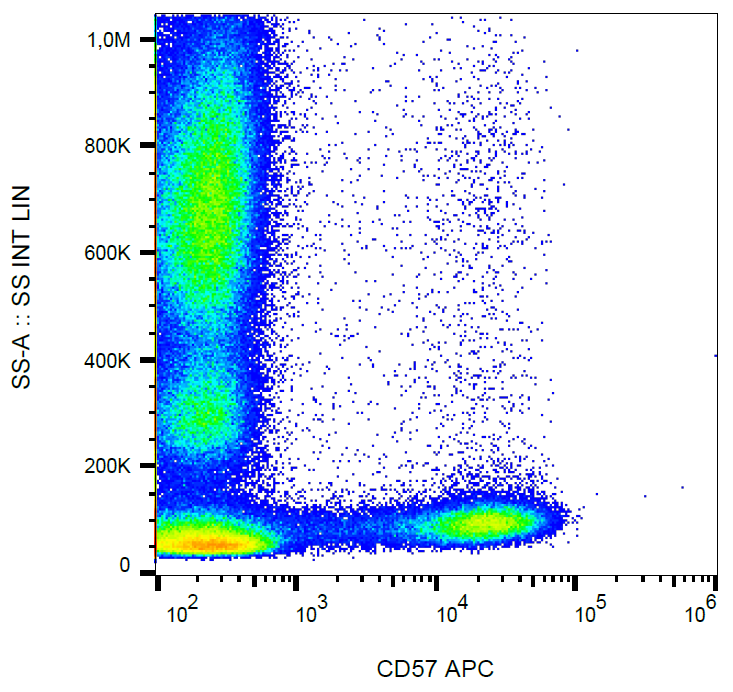 CD57 Antibody (APC)