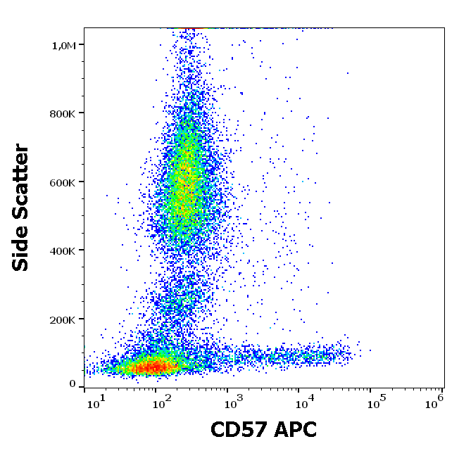 Anti-Hu CD57 APC