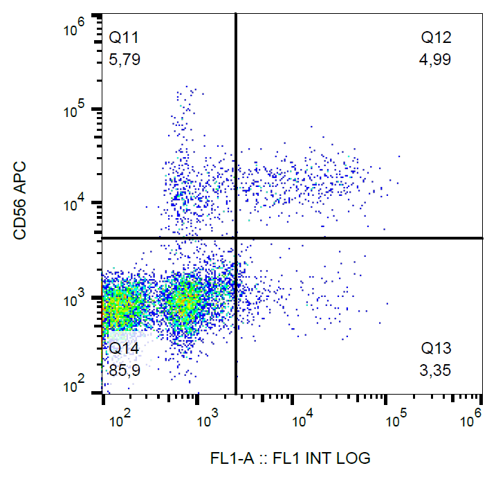 CD57 Antibody (FITC)