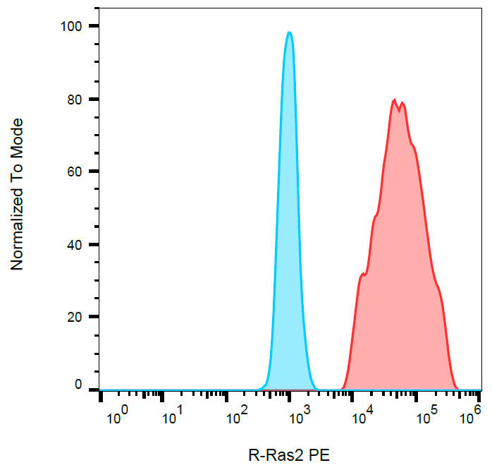 R-RAS2 Antibody (PE)