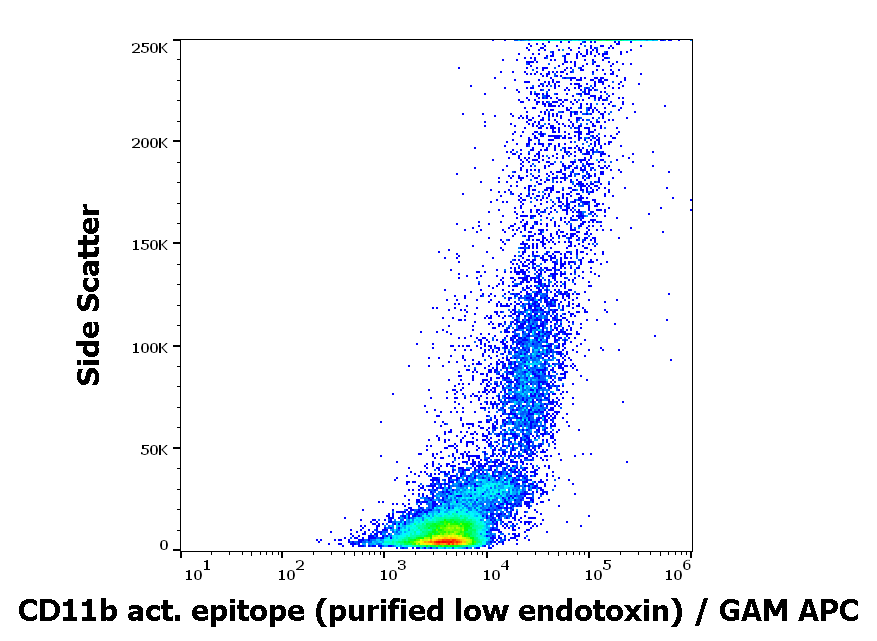 CD11b activation epitope antibody