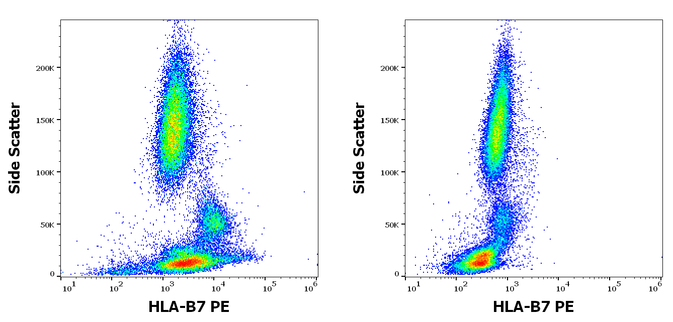 HLA-B7 Antibody (PE)