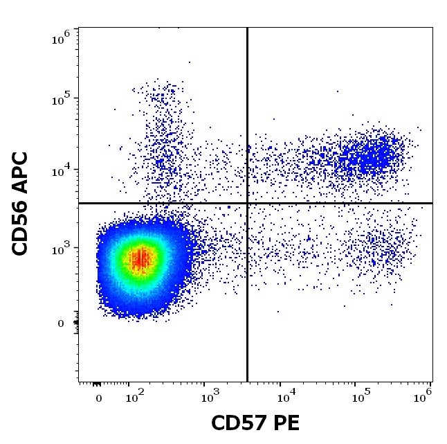 CD57 antibody (PE)