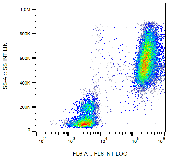 Lactoferrin Antibody