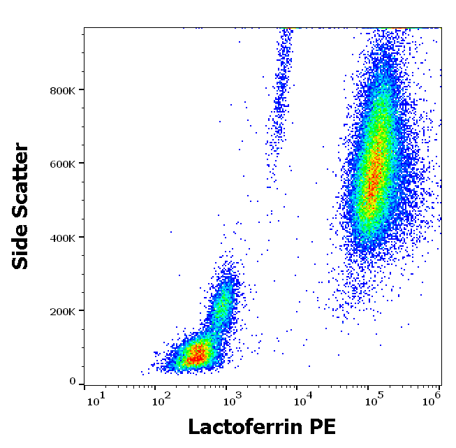 Lactoferrin antibody (PE)