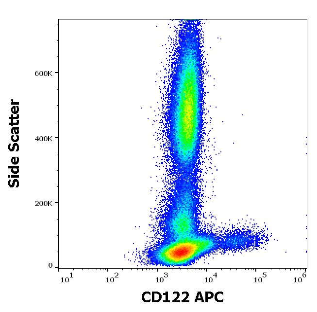 CD122 antibody (APC)