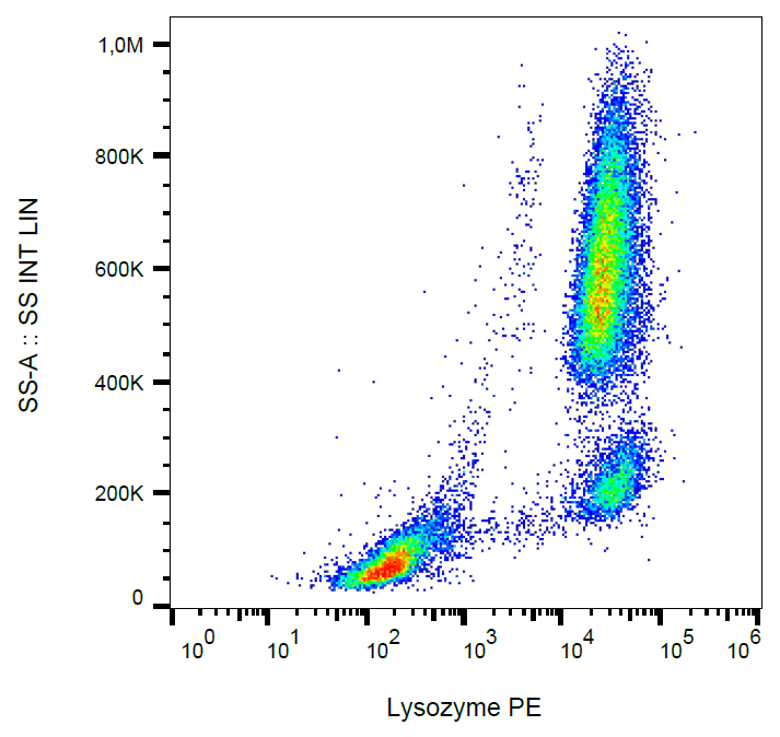 Lysozyme Antibody (PE)