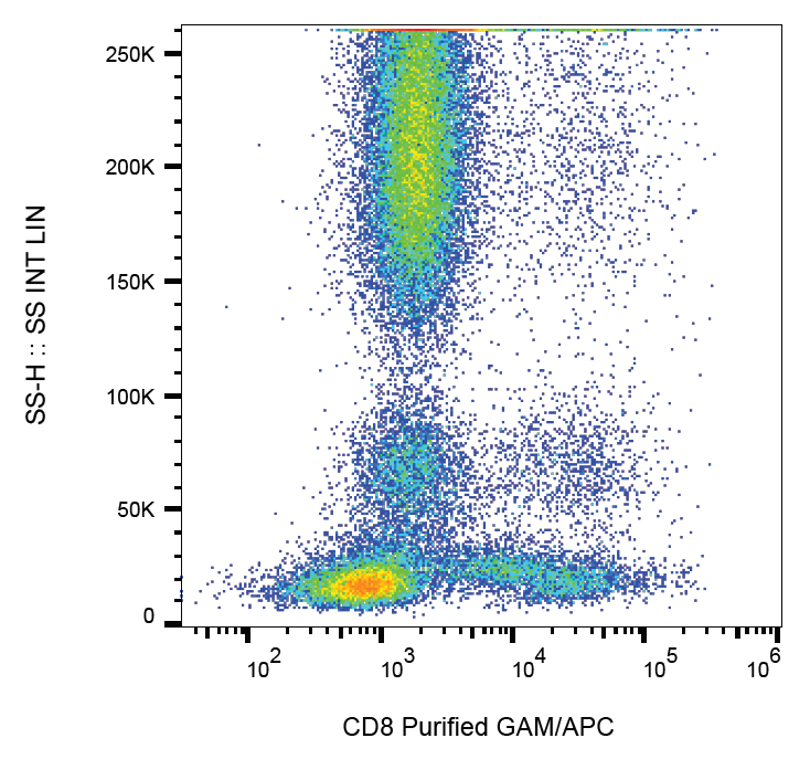 CD8 Antibody