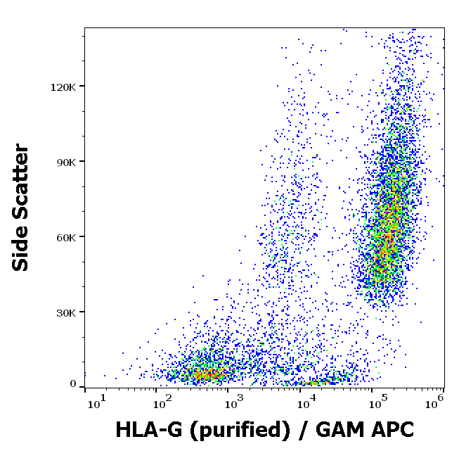 Anti-HLA-G Purified