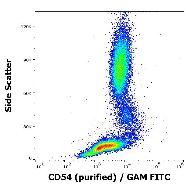 CD54 Antibody