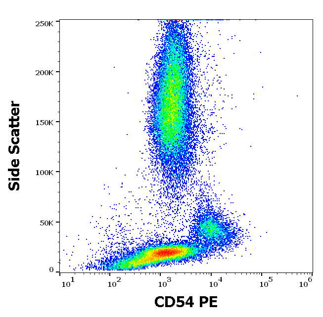CD54 Antibody (PE)