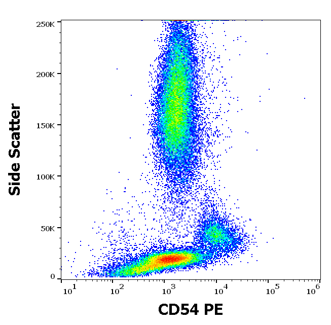 CD54 antibody (PE)
