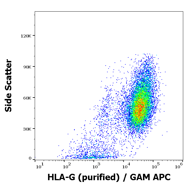 Anti-HLA-G Purified