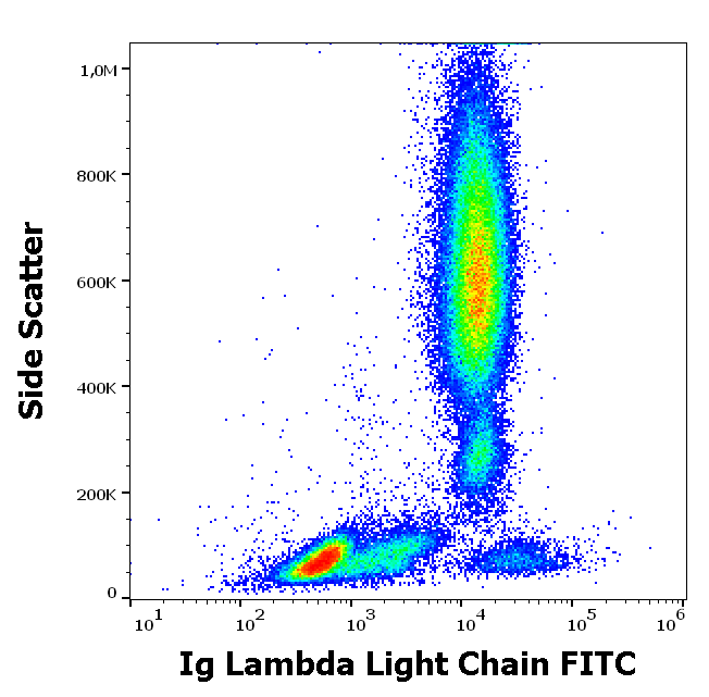 Lambda (L chain) antibody (FITC)