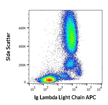Ig Lambda Light Chain Antibody (APC)