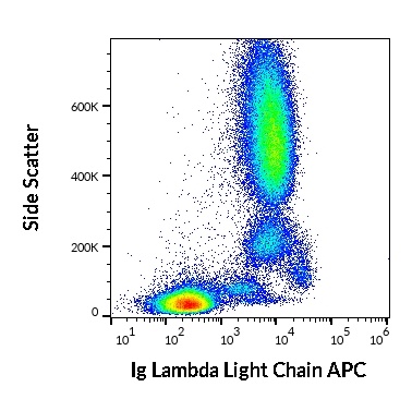 Lambda (L chain) antibody