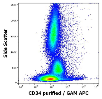 CD34 Antibody