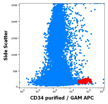 CD34 Antibody