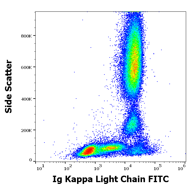 Kappa (L chain) antibody (FITC)