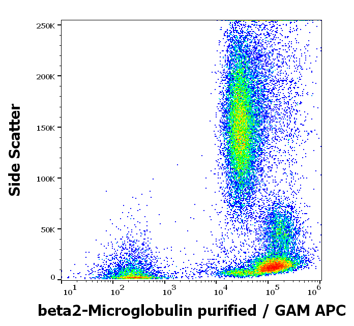 Anti-Hu beta2-Microglobulin Purified