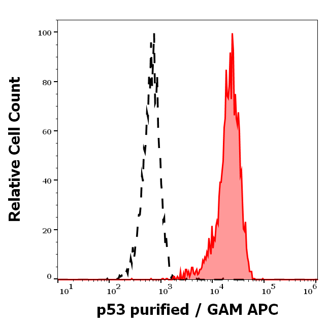 p53 Antibody