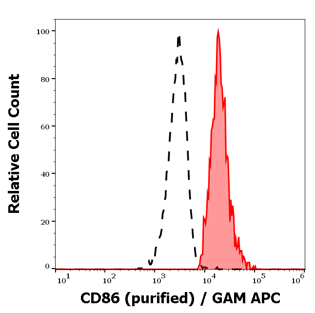 CD86 Antibody