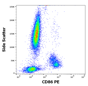 Anti-Hu CD86 PE