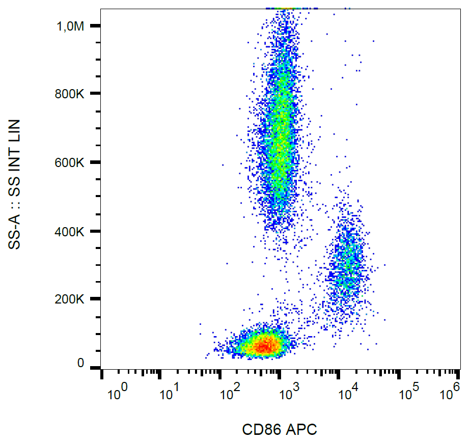 CD86 Antibody (APC)