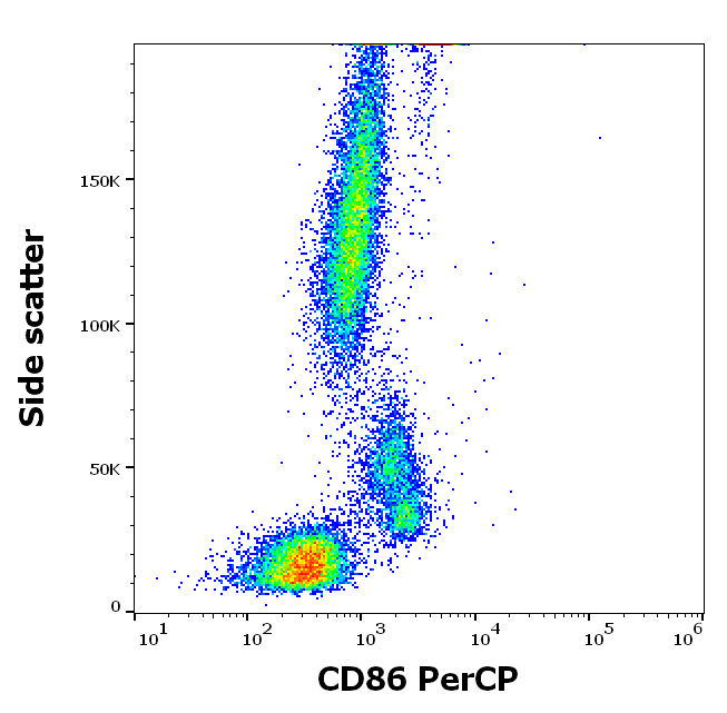 CD86 antibody (PerCP)