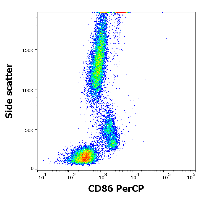 CD86 Antibody (PerCP)