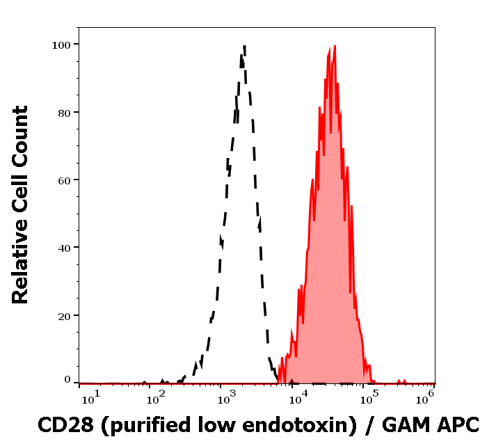 CD28 Antibody