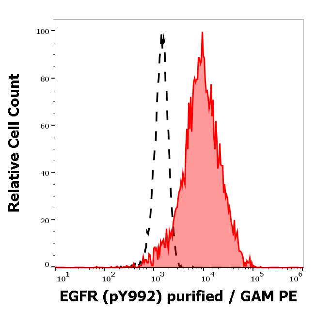 Anti-Hu EGFR (pY992) Purified