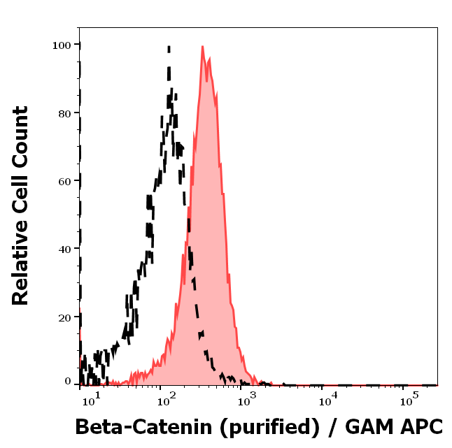 Anti-beta-Catenin Purified