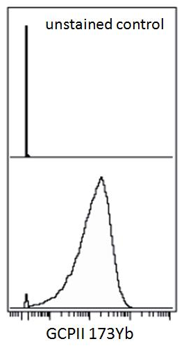 Anti-PSMA Purified