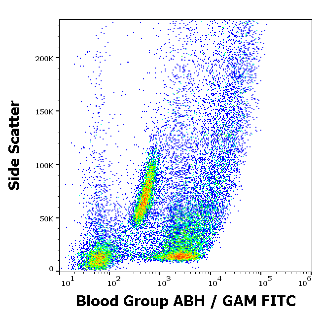 Blood Group ABH Antibody