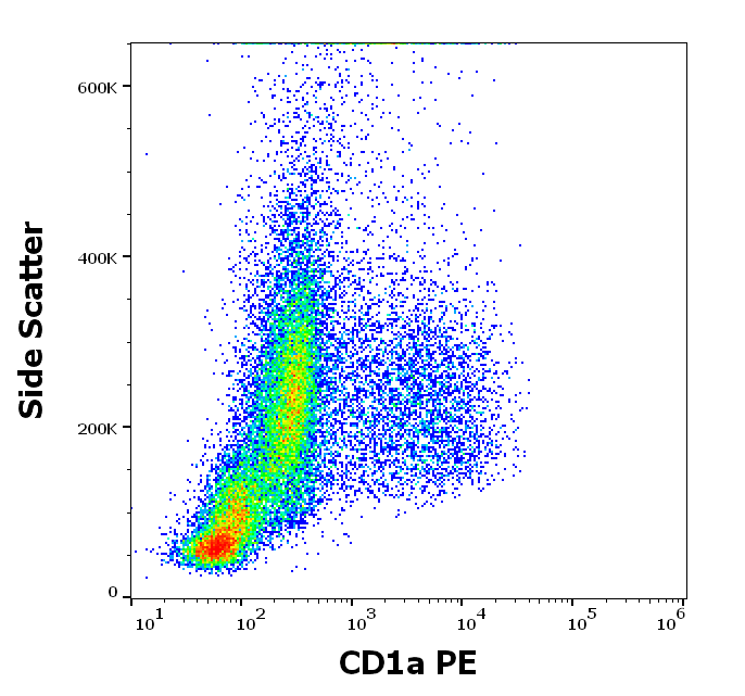 CD1a antibody (PE)