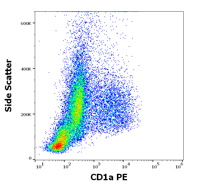 Anti-Hu CD1a PE