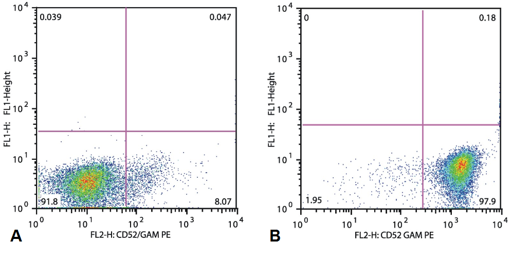 CD52 Antibody