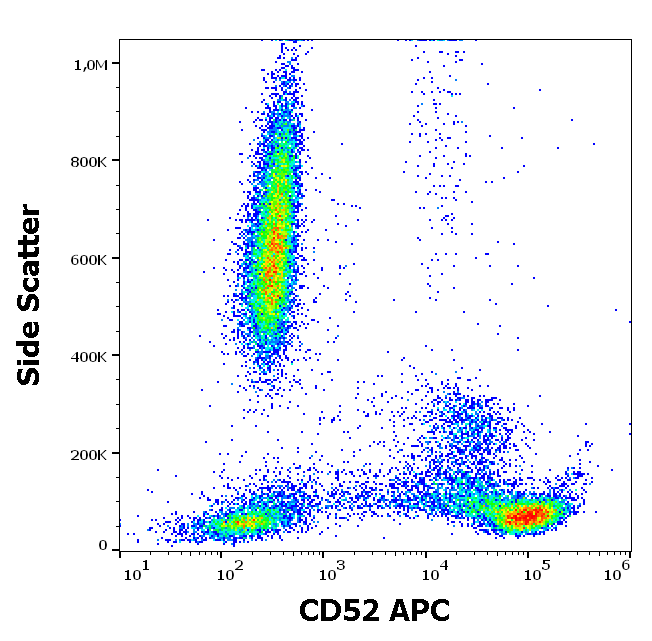 CD52 Antibody (APC)